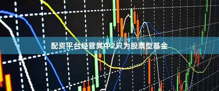 配资平台经营其中2只为股票型基金